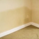 rising damp treatment costs