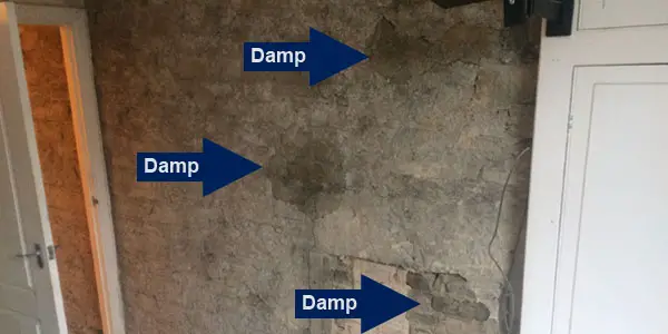 can you dot and dab on damp walls